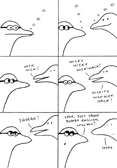In conversation with Captain Dolphin (c) Ralph Kidson